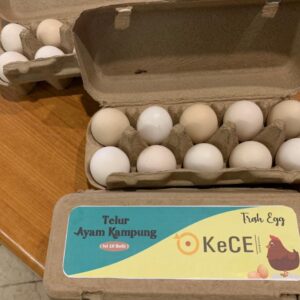 Kandang Ayam Petelur Otomatis 252 (10)